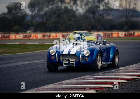 Eine blaue 1965 Shelby Cobra bei Runden während eines privaten Testtages auf dem Winton Motor Raceway. Stockfoto