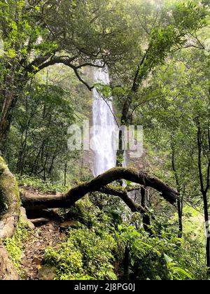 Illapani Wasserfall Quillabumba Stockfoto