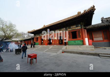 Der wunderschöne Lama-Tempel in Peking, China. Stockfoto