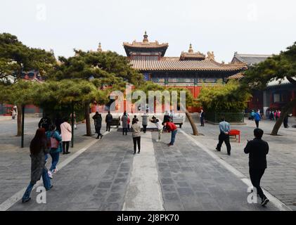 Der wunderschöne Lama-Tempel in Peking, China. Stockfoto