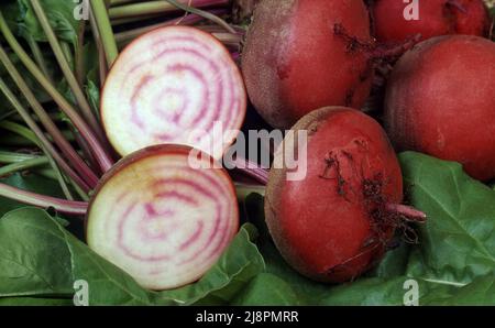 FRISCH GEERNTETE GANZE UND IN SCHEIBEN GESCHNITTENE ROTE BETE Stockfoto