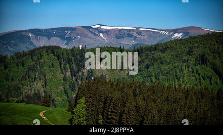 Farbenfrohe Berglandschaft im Frühling. Berg Krizna, Velka Fatra, Slowakei. Stockfoto