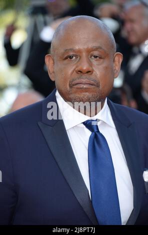 17. Mai 2022, CANNES, Frankreich: CANNES, FRANKREICH - 17. MAI: Forest Whitaker nimmt an der Vorführung von ''Final Cut (Couperz!)' Teil. Und Eröffnungszeremonie roter Teppich für das jährliche Filmfestival in Cannes 75. im Palais des Festivals am 17. Mai 2022 in Cannes, Frankreich. (Bild: © Frederick Injimbert/ZUMA Press Wire) Stockfoto