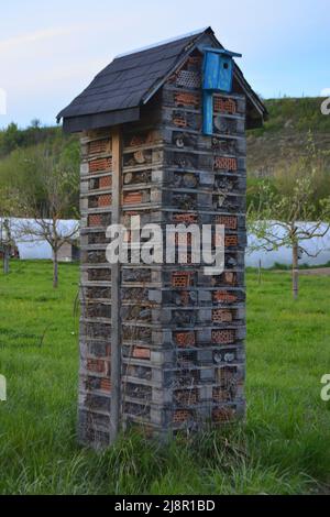 Hölzernes Insektenhaus auf einer Wiese Stockfoto