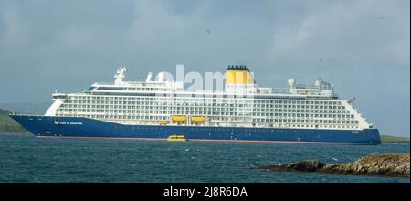 Bantry West Cork Irland Mittwoch, 18. Mai 2022; das Spirit of Adventure Cruise Ship kam heute Morgen mit 1000 Passagieren in Bantry an. Es ist der zweite Cruise Liner, der seit 2019 im Binnenhafen ist und der Beginn der Covid-Pandemie. Die Passagiere stiegen an der Küste aus, um Tagesausflüge zum Mizen Head, Ring of Beara, Garnish Island und zur Stadt Bantry zu Unternehmen. Credit ED/Alamy Live News Stockfoto