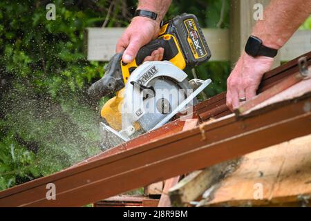 Schnurlose Dewalt-Kreissäge, Skilsaw, die zum Durchschneiden alter Holzzaunplatten verwendet wird Stockfoto