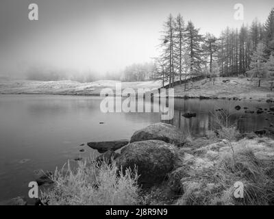 Infrarotbild des Ufers von Blea Tarn im Lake District National Park, Cumbria, England. Stockfoto