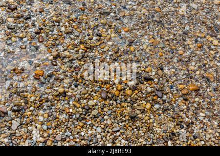 Nasse, hell leuchtende Kieselsteine am Strand. Bunte Kieselsteine Hintergrund. Stockfoto