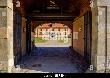 Blick in den Innenhof des Landesgestüts Moritzburg bei Dresden, Sachsen, Deutschland, dem Landesgestüt der Freien Staaten Sachsen und Thüringen. Stockfoto