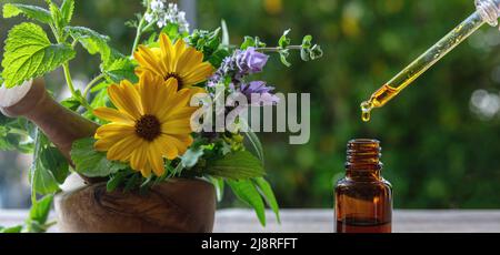 Alternative Gesundheitsmedizin. Ätherisches Öl fällt in eine Glasflasche, Nahaufnahme. Naturkosmetik, Serum und Vitamine. Frische Kräuter in einem Mörser auf Stockfoto