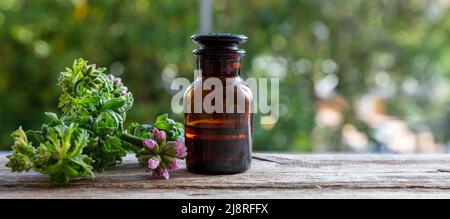 Glasflasche aus ätherischem Öl aus Zitronengeranium auf Holztisch, Nahaufnahme. Aromatherapie-Öl, Mückenschutz, verwischen Natur Hintergrund Stockfoto