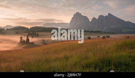 Bergwiesen der Dolomiten im Morgennebel und Nebel mit ätherischer Atmosphäre. Stockfoto