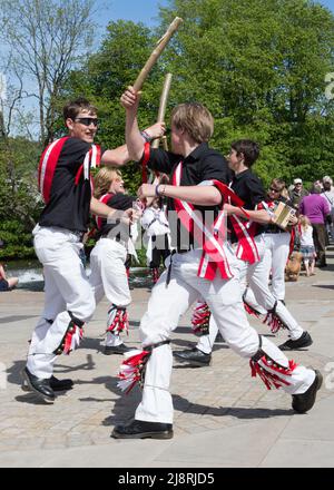 Fool's Gambit Morris-Team bei Bakewell Stockfoto