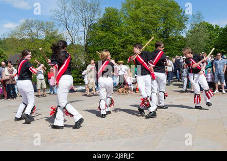 Fool's Gambit Morris-Team bei Bakewell Stockfoto