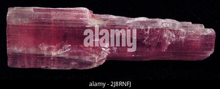 Turmalin aus Pegmatit, Brasilien. Turmalin gibt es in vielen verschiedenen Farben. Die rosa Sorte wird Rubelit genannt. Typischerweise ist Turmalin schwarz (Schorl), aber auch schwarze Sorten können glänzen oder funkeln. Hochwertige Turmaline werden als Edelsteine geschätzt. Turmalin ist das häufigste Mineral, das Bor enthält. Dieser Kristall ist 6 cm lang. Stockfoto