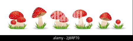 Großer Satz Pilze Toadstool. Ungenießbare Pilze. Vektorgrafik im flachen Stil. Stock Vektor