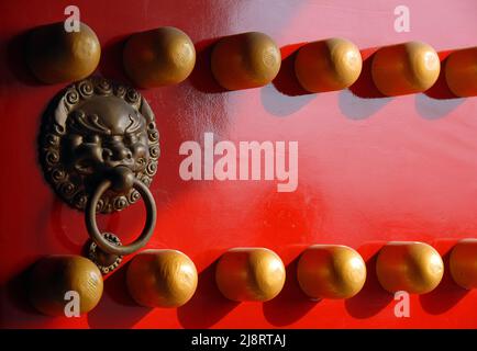 Detail einer traditionellen chinesischen Tür im Xiaoling Mausoleum der Ming-Dynastie in Nanjing, Provinz Jiangsu, China. Rote Tür mit Löwengriff. Stockfoto