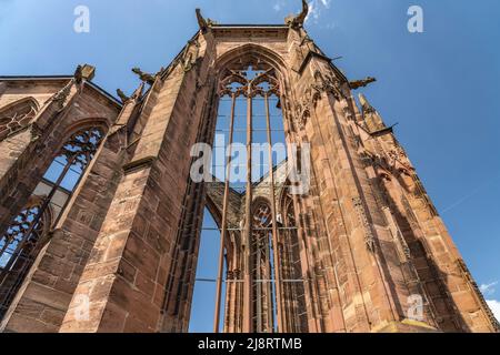 Die Ruine der gotischen Wernerkapelle in Bacharach, Welterbe Oberes Mittelrheintal, Rheinland-Pfalz, Deutschland | Gotische Wernerkapelle Ruinen in Ba Stockfoto