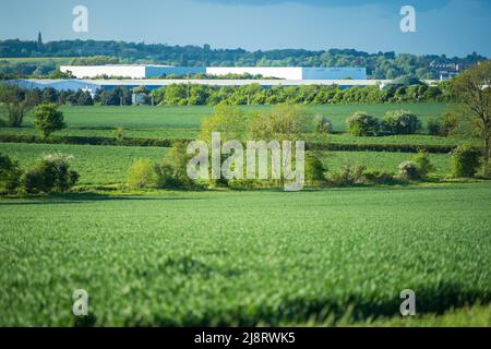 Neu erbautes Distributionslager mit landwirtschaftlichen Feldern im Vordergrund in england Stockfoto