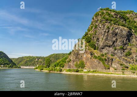 Der markanteSchieferfelsen Loreley bei Sankt Goarshausen und der Rhein, Welterbe Oberes Mittelrheintal, Rheinland-Pfalz, Deutschland | die steile Klüppe Stockfoto