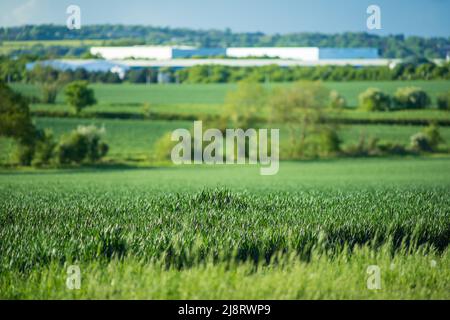 Neu erbautes Distributionslager mit landwirtschaftlichen Feldern im Vordergrund in england Stockfoto