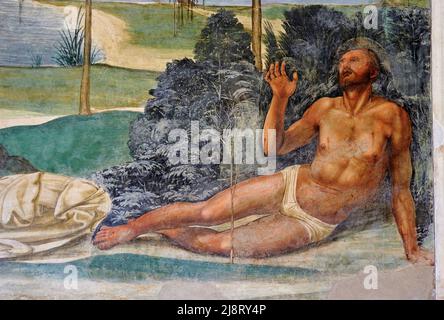 Storie di San Benedetto - particolare da “ Il Santo supera la tentazione “ - affresco - Sodoma - 1505 - Monte Oliveto Maggiore (Si) ,Italia, Abbaz Stockfoto