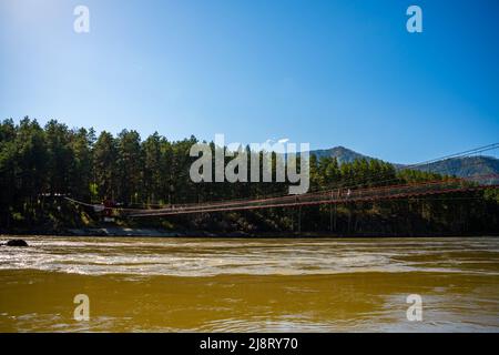 Fußgängerbrücke über den Fluss Katun im Frühling, Altai, Russland Stockfoto