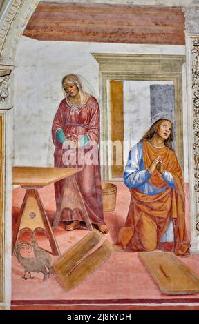 Storie di San Benedetto - particolare da “ Il Santo risalda il capistero rotto “ - affresco - Sodoma - 1505 - Monte Oliveto Maggiore (Si),Italia, Stockfoto