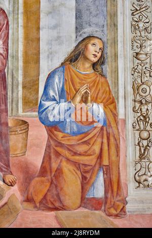 Storie di San Benedetto - particolare da “ Il Santo risalda il capistero rotto “ - affresco - Sodoma - 1505 - Monte Oliveto Maggiore (Si) ,Italia, Stockfoto