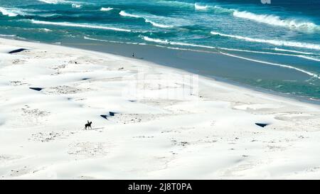 Solitary Horse Rider am Noordhoek Beach, Kapstadt Stockfoto