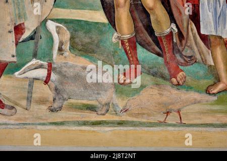 Storie di San Benedetto - particolare da “ Il Santo risalda il capistero rotto “ - affresco - Sodoma - 1505 - Monte Oliveto Maggiore (Si) ,Italia, Stockfoto