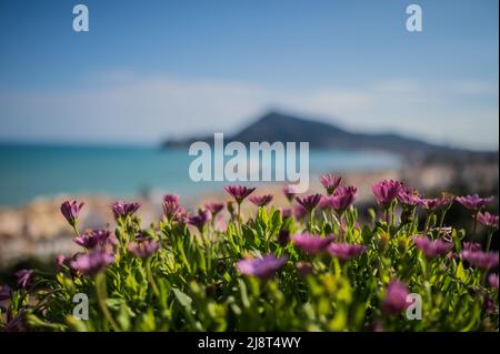 Schöne Aussicht auf Altea, Alicante Spanien Stockfoto