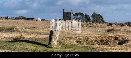 Ein Panoramabild von Rindern, die zwischen den stehenden Steinen grasen, spätneolithische frühe Bronzezeit die Hurler auf dem schroffen Bodmin Moor Stockfoto