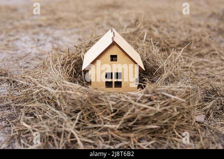 Miniatur-Spielzeughaus aus Sperrholz in einem Vogelnest. Gemütliches Zuhause Konzept. Stockfoto