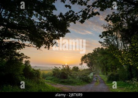 Nebliger Sonnenaufgang über dem Ackerland in der Landschaft von oxfordshire im Frühjahr. Adderbury, Oxfordshire, Großbritannien Stockfoto