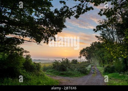 Nebliger Sonnenaufgang über dem Ackerland in der Landschaft von oxfordshire im Frühjahr. Adderbury, Oxfordshire, Großbritannien Stockfoto