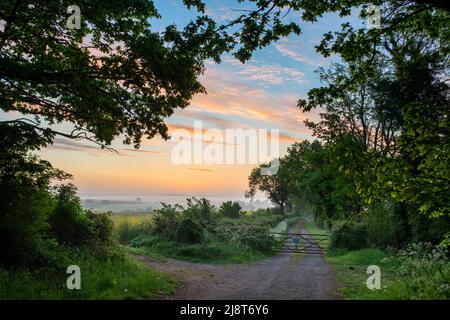 Nebliger Sonnenaufgang über dem Ackerland in der Landschaft von oxfordshire im Frühjahr. Adderbury, Oxfordshire, Großbritannien Stockfoto