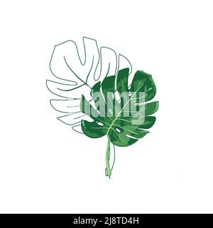 Großer grüner Monstera-Urlaub und Vogel der Paradiesblume Strelitzia Stock Vektor