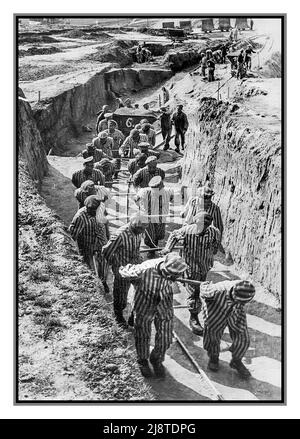 Nazi-deutsches Todeslager Mauthausen-Gusen (1938-1945) in Österreich. Gefangene im Steinbruch (Todestreppe). Gefangene wurden gezwungen, Erde und riesige Granitfelsen zu tragen, um unterirdische Tunnel unter der Stadt Sankt Georgen an der Gusen zu versorgen; solch harte Zwangsarbeit war wie eine Folter. Die amerikanische US-Armee befreite dieses Todeslager und schoss den Lagerkommandanten Franz Ziereis. Stockfoto