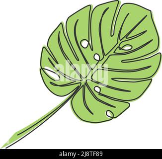 Einzeilige Zeichnung von Monstera Blatt, Linienkunst Vektor-Illustration Stock Vektor