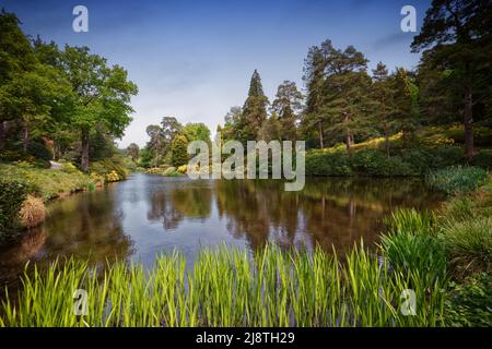 See am Leonardslee Stockfoto