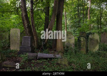 London, 23/08/2017: Der Tower Hamlets Cemetery Park ist der urbane Waldpark Londons und der einzige eigene Waldpark von Tower Hamlets. Historisch gesehen ist es einer der sieben großartigen Friedhofs Londons, der 1966 für Bestattungen geschlossen und zu einem öffentlichen Park wurde. © Andrea Sabbadini Stockfoto