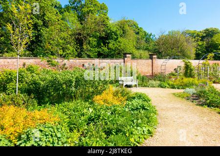 Im Kirkleatham ummauerten Garten ein Sitz mit einer Blumenpracht, die Schmetterlinge und Bienen vom Frühling bis zum Herbst anziehen soll Stockfoto