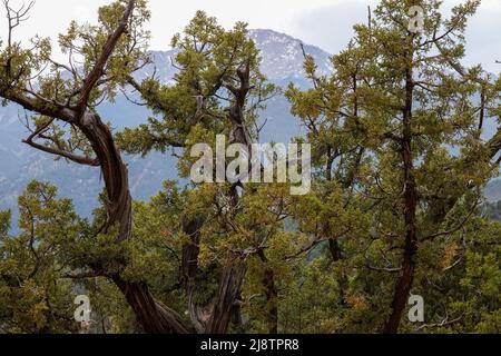 Der unglaublich tolle Garden of the Gods ist ein unverzichtbarer Zwischenstopp, wenn Sie durch Colorado Springs, Colorado, reisen Stockfoto