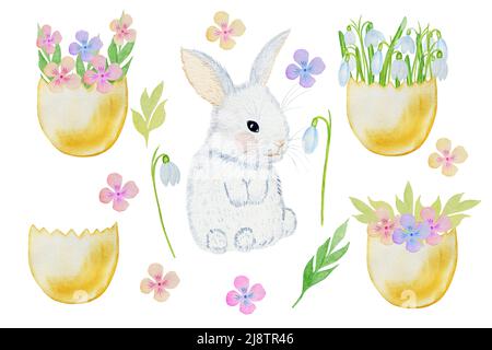 Frühlingssatz aus Hase und Blumen in einer Eierschale. Ostern Set von niedlichen Aquarell-Illustrationen. Handgezeichnete Schneeglöckchen und Primeln mit Kaninchen. Clipart. Stockfoto