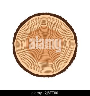 Runder Baumstamm geschnitten, Schnittholz aus Kiefer oder Eiche gesägt. Sägeschnittholz, Holz. Braune Holzstruktur mit Baumringen. Handgezeichnete Skizze. Vektorgrafik Stock Vektor