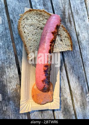 Gegrillte Erdbeeren Wurst auf einem Pappteller mit Senf und Brotscheibe Stockfoto