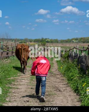 Ein glückliches kleines Mädchen läuft auf einer hüpfenden Dorfstraße. Kuh im Hintergrund. Kühe und Kinder. Stockfoto