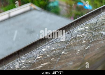 Bei Regenwetter fällt starker Regen auf das Dach, der die Rinne mit Wasser überfluten kann. Stockfoto