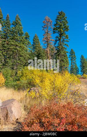 Landschaft am Hells Canyon Overlook in Oregon USA an einem sonnigen Herbsttag. Stockfoto